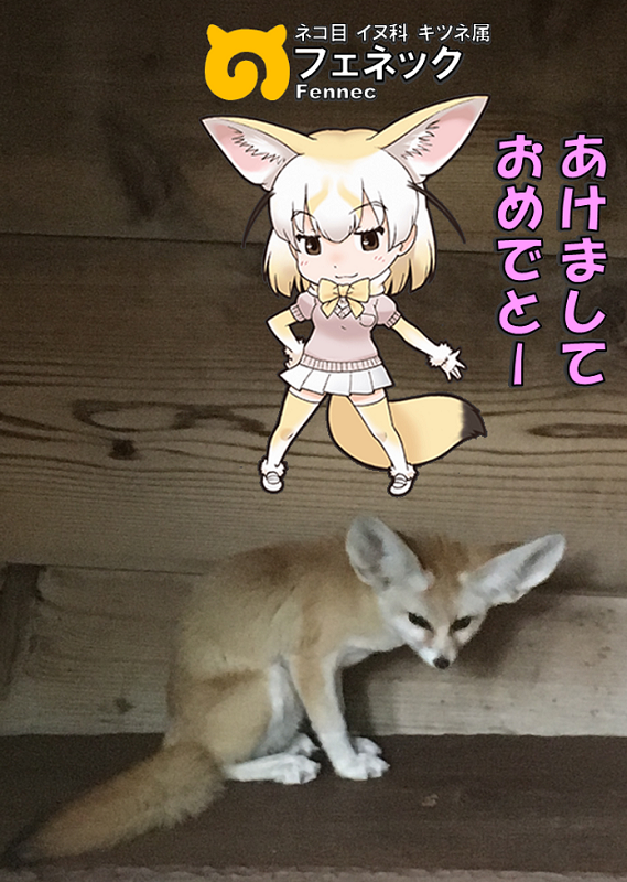 ̃tY N tFlbN