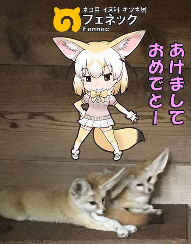 ̃tY N tFlbN