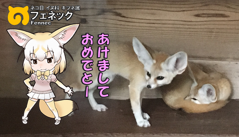 ̃tY N tFlbN