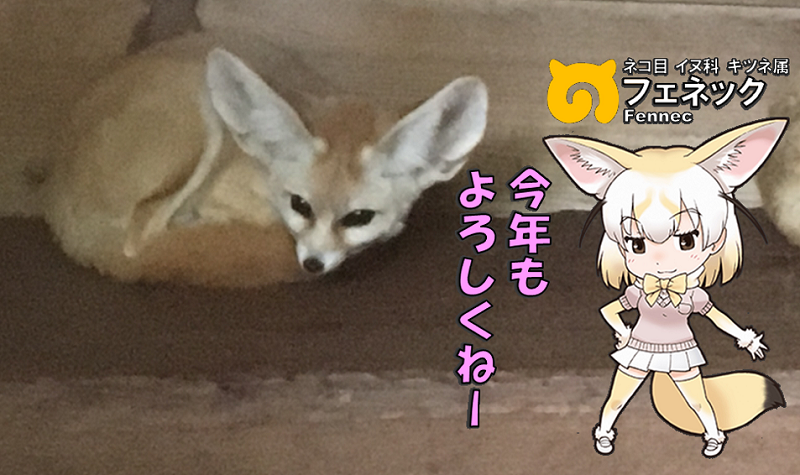 ̃tY N tFlbN