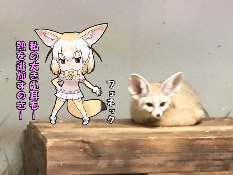 ̂قp[N LA ̃tY tFlbN