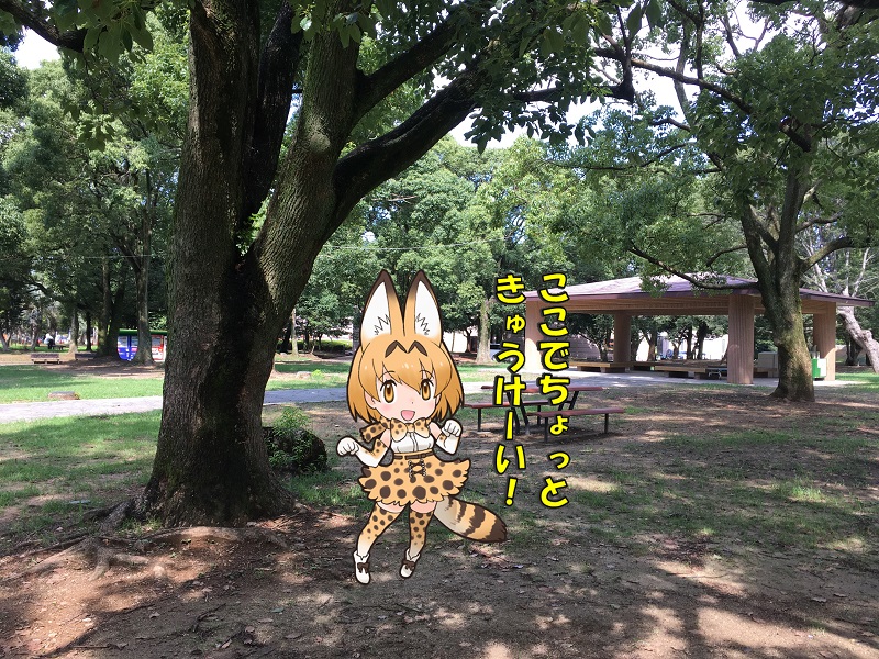̂قp[N LA ̃tY xe T[o