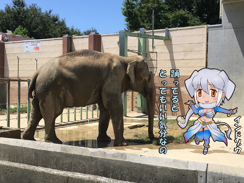 ̂قp[N LA ̃tY Ch]E AWA]E