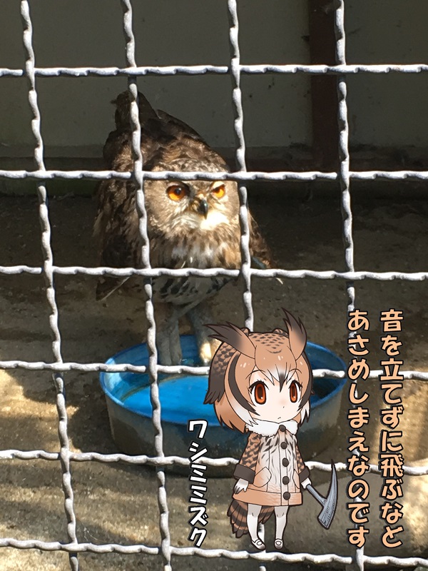 ̂قp[N LA ̃tY V~~YN 