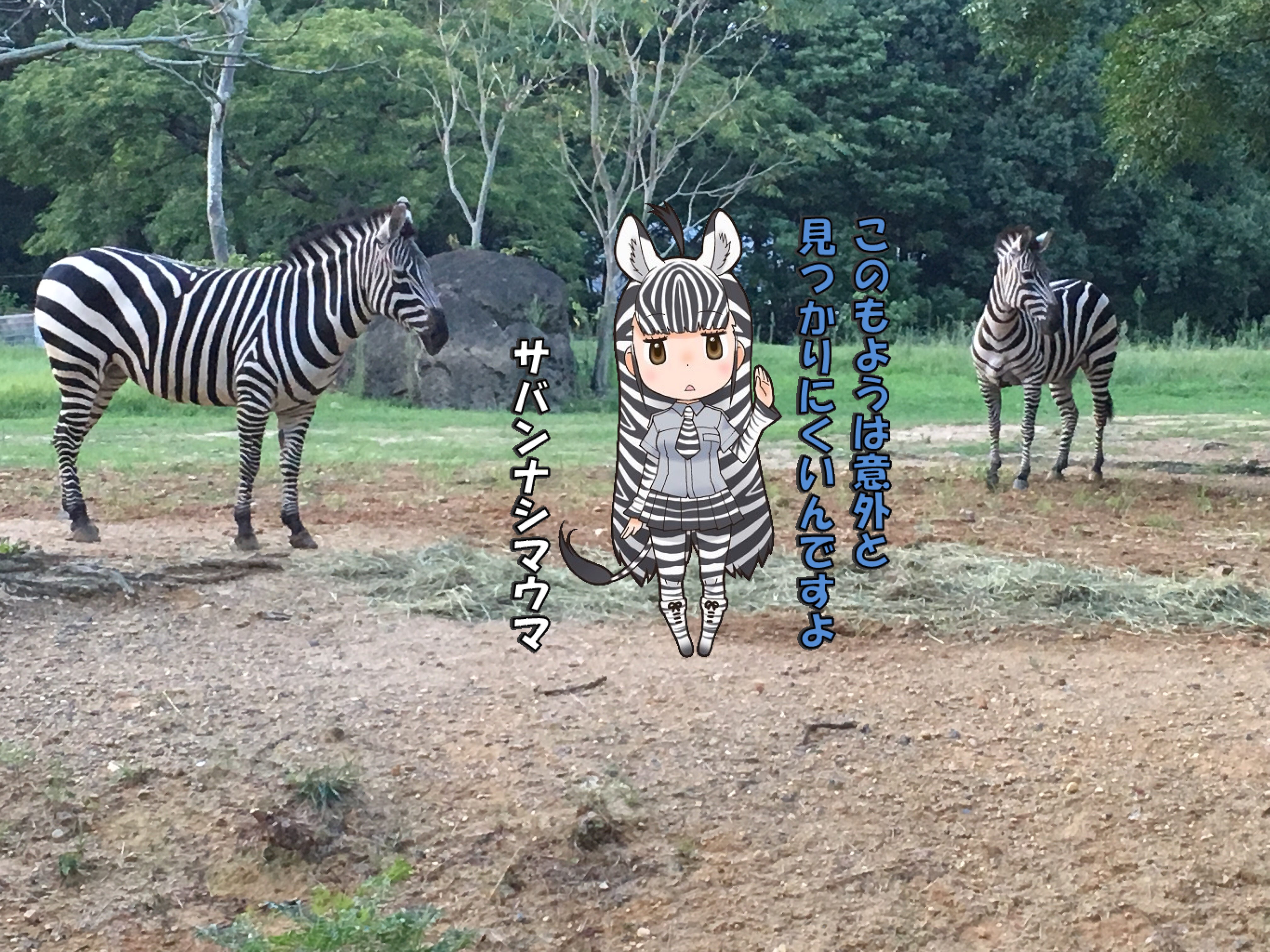 けものフレンズ とコラボしてる のんほいパーク 豊橋総合動植物公園 で撮ってきた合成写真