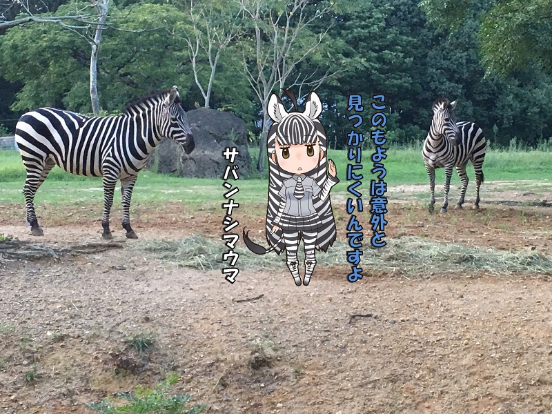 ̂قp[N LA ̃tY V}E}