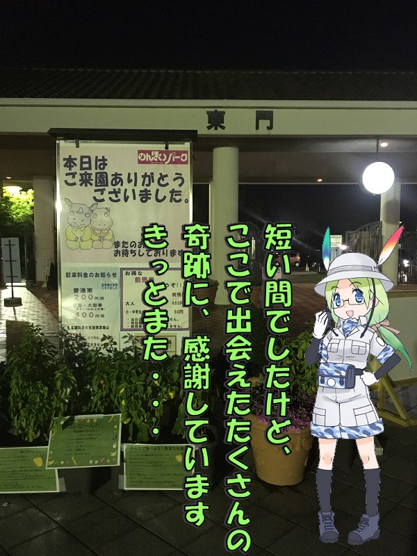 ̂قp[N LA ̃tY ݂炢