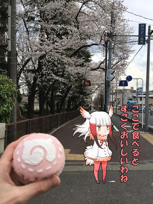 ς܂ ނP[L ̃tY zCbvN[ Ԍ