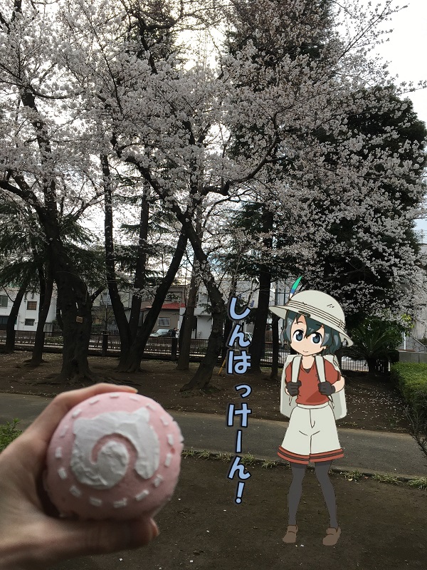 ς܂ ނP[L ̃tY zCbvN[ Ԍ