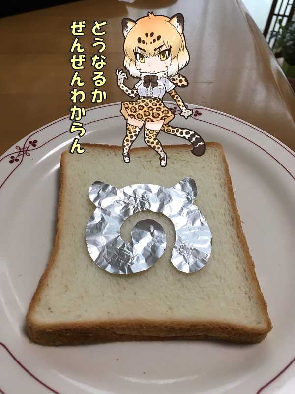 ̃tY g[Xg ς܂