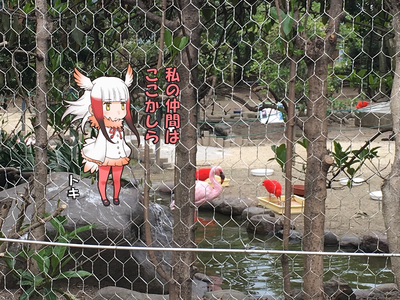 ̃tY 