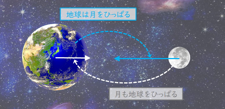 地球は月をひっぱる、月も地球をひっぱる